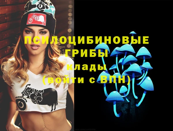 круглые Богородицк