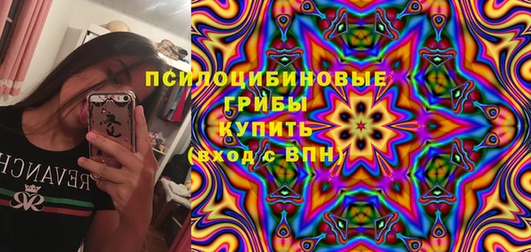 круглые Богородицк