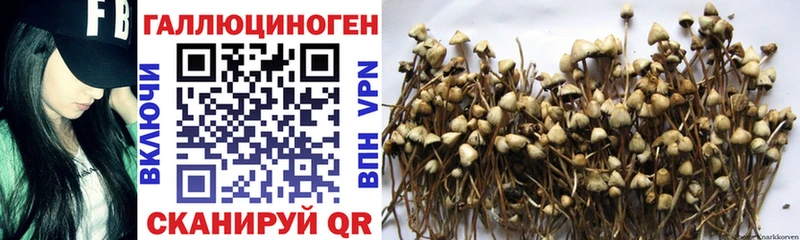 Галлюциногенные грибы мухоморы  купить закладку  Шахты 